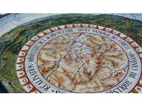 photo coins arrondis